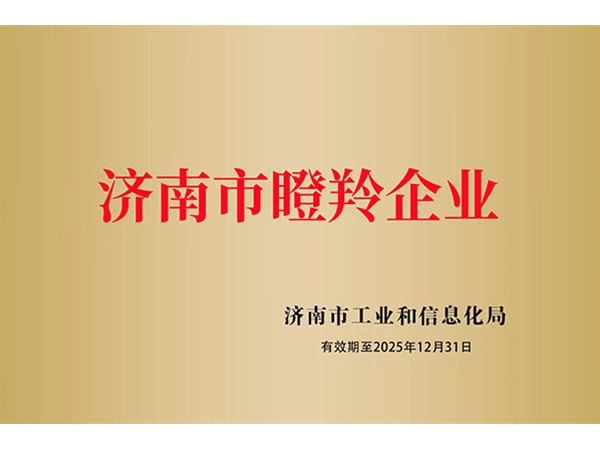 济南市瞪羚企业